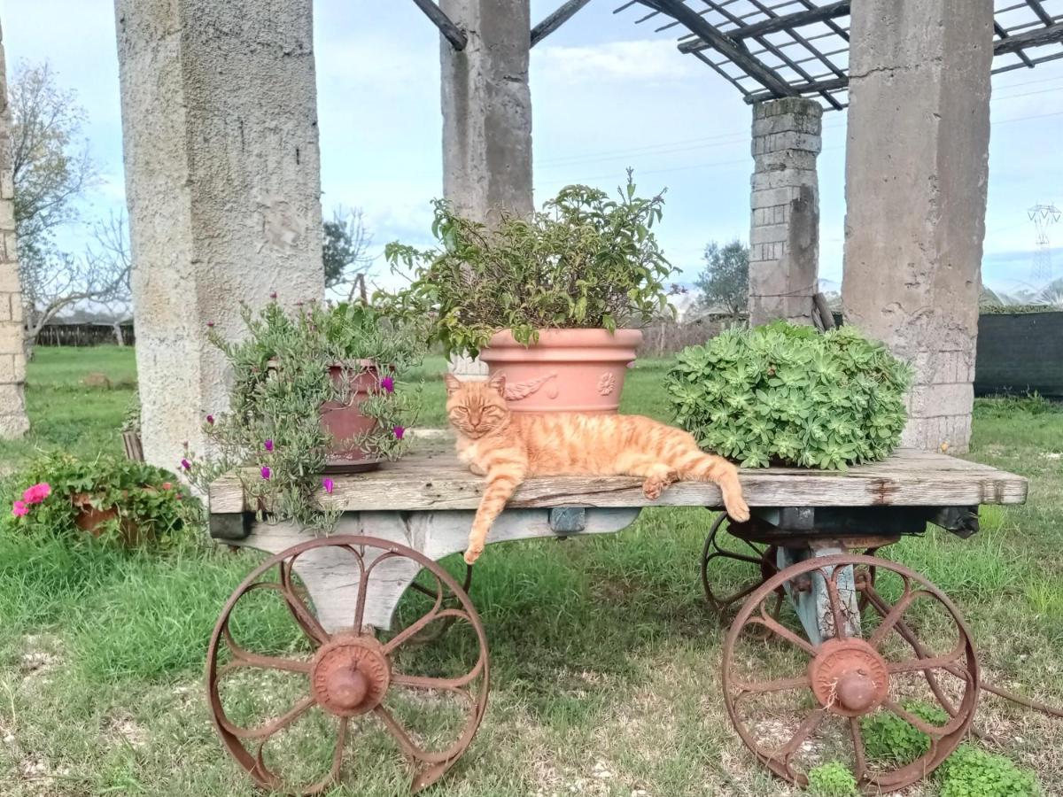 Il Casale Di Giulia Di Aprilia Bed & Breakfast Bagian luar foto